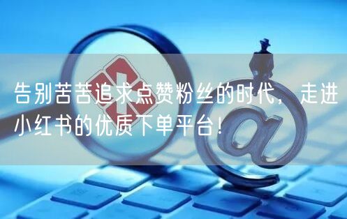 告别苦苦追求点赞粉丝的时代，走进小红书的优质下单平台！