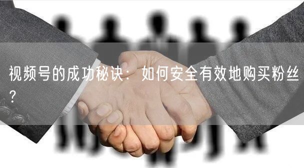 视频号的成功秘诀：如何安全有效地购买粉丝？