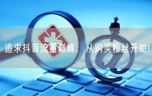 追求抖音流量巅峰，从购买粉丝开始!