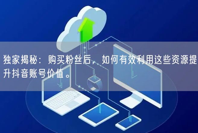 独家揭秘：购买粉丝后，如何有效利用这些资源提升抖音账号价值。