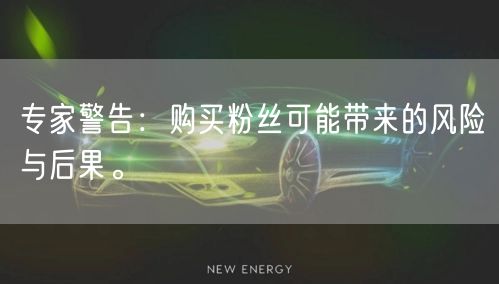 专家警告：购买粉丝可能带来的风险与后果。