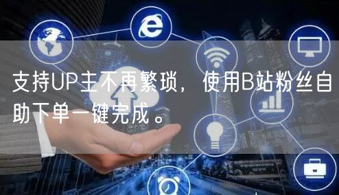支持UP主不再繁琐，使用B站粉丝自助下单一键完成。