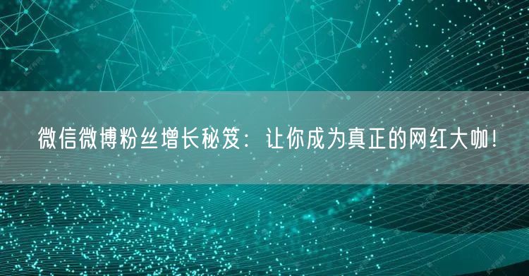 微信微博粉丝增长秘笈：让你成为真正的网红大咖！
