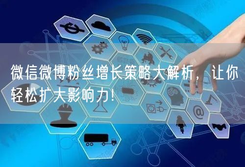 微信微博粉丝增长策略大解析，让你轻松扩大影响力！