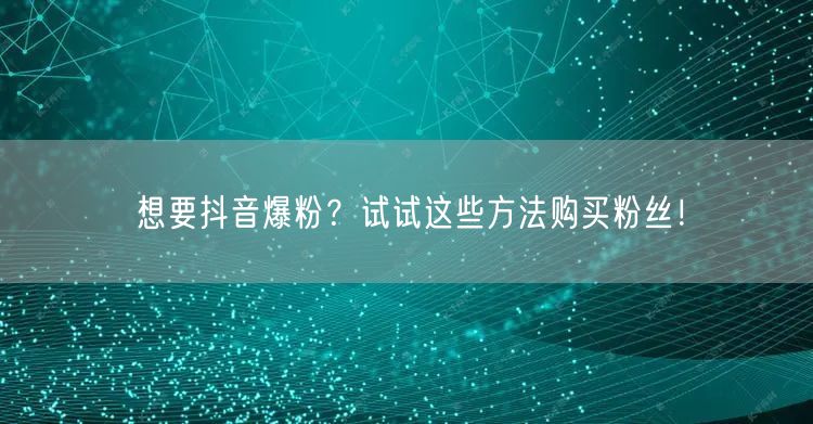 想要抖音爆粉？试试这些方法购买粉丝！