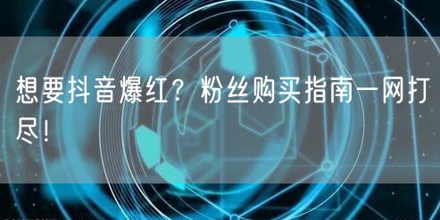 想要抖音爆红？粉丝购买指南一网打尽！