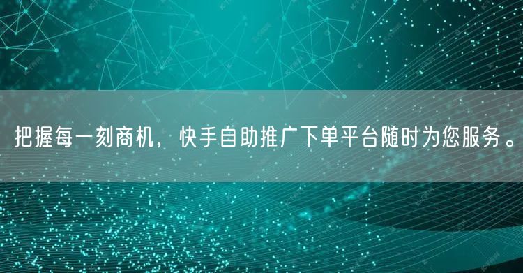把握每一刻商机，快手自助推广下单平台随时为您服务。
