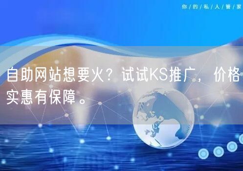 自助网站想要火？试试KS推广，价格实惠有保障。