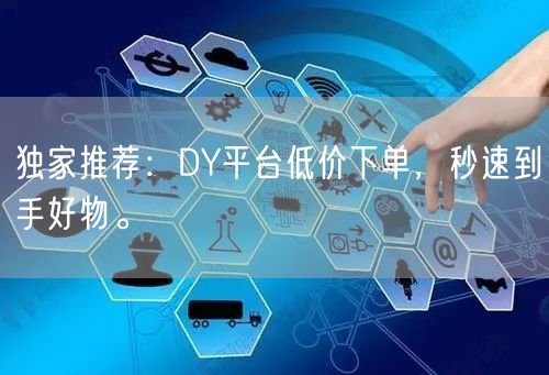 独家推荐：DY平台低价下单，秒速到手好物。