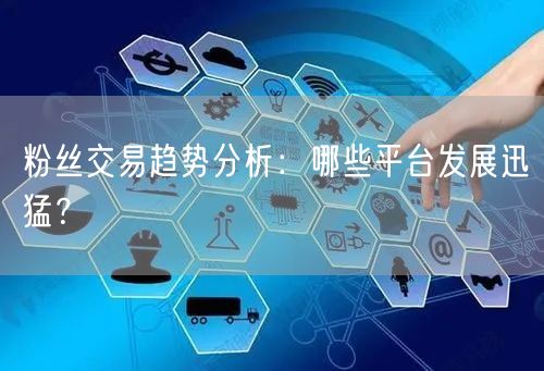 粉丝交易趋势分析：哪些平台发展迅猛？