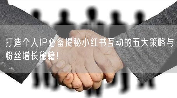 打造个人IP必备揭秘小红书互动的五大策略与粉丝增长秘籍！