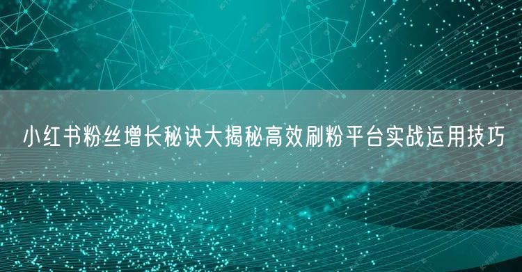 小红书粉丝增长秘诀大揭秘高效刷粉平台实战运用技巧
