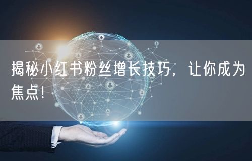 揭秘小红书粉丝增长技巧，让你成为焦点！