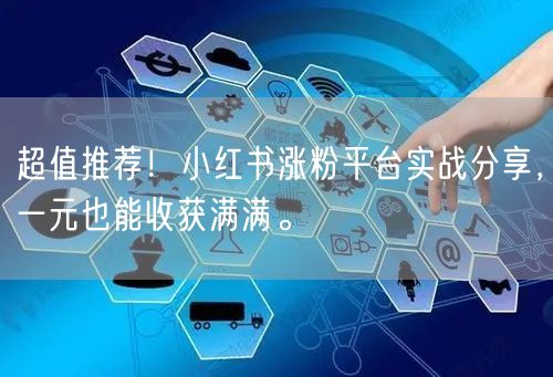 超值推荐!小红书涨粉平台实战分享,一元也能收获满满。