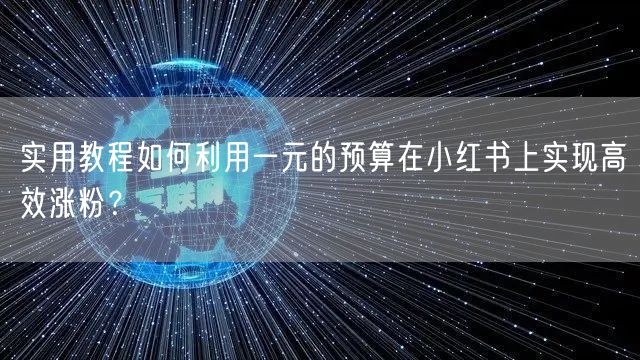 实用教程如何利用一元的预算在小红书上实现高效涨粉?