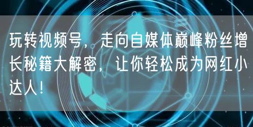 玩转视频号,走向自媒体巅峰粉丝增长秘籍大解密,让你轻松成为网红小达人!