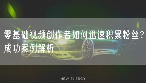 零基础视频创作者如何迅速积累粉丝？成功案例解析