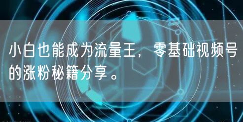 小白也能成为流量王，零基础视频号的涨粉秘籍分享。