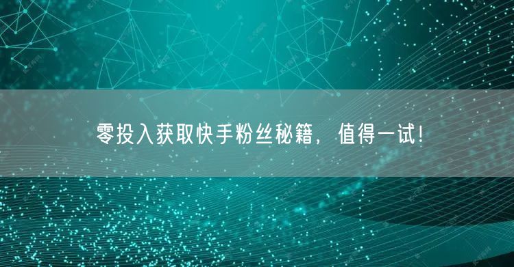 零投入获取快手粉丝秘籍，值得一试！