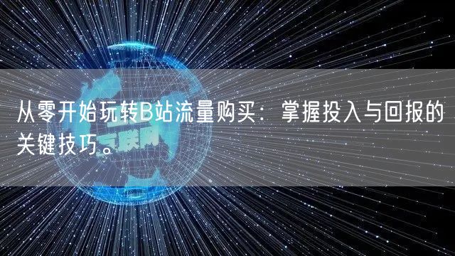 从零开始玩转B站流量购买:掌握投入与回报的关键技巧。