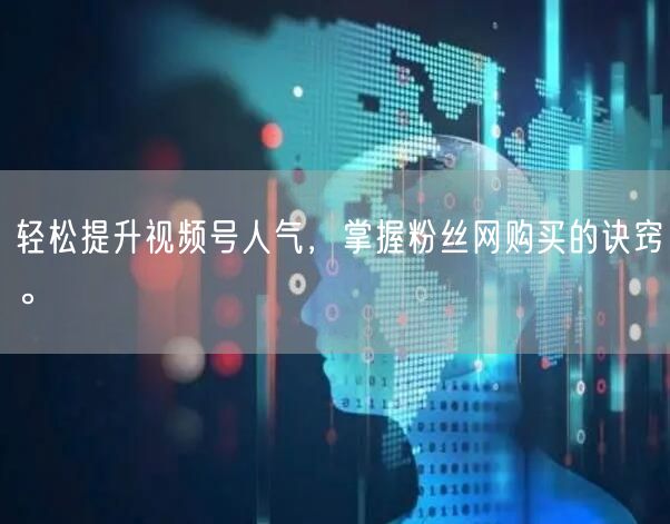 轻松提升视频号人气,掌握粉丝网购买的诀窍。