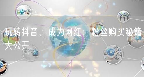 玩转抖音，成为网红：粉丝购买秘籍大公开!