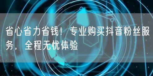 省心省力省钱!专业购买抖音粉丝服务,全程无忧体验