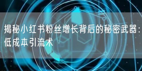 揭秘小红书粉丝增长背后的秘密武器：低成本引流术