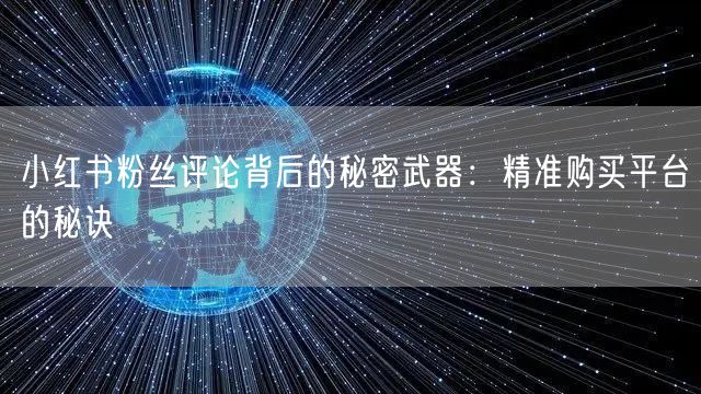小红书粉丝评论背后的秘密武器：精准购买平台的秘诀