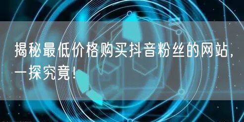 揭秘最低价格购买抖音粉丝的网站，一探究竟！